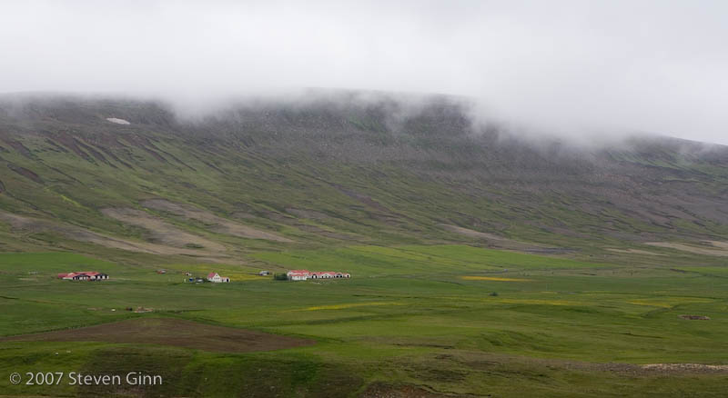 Farm Scene